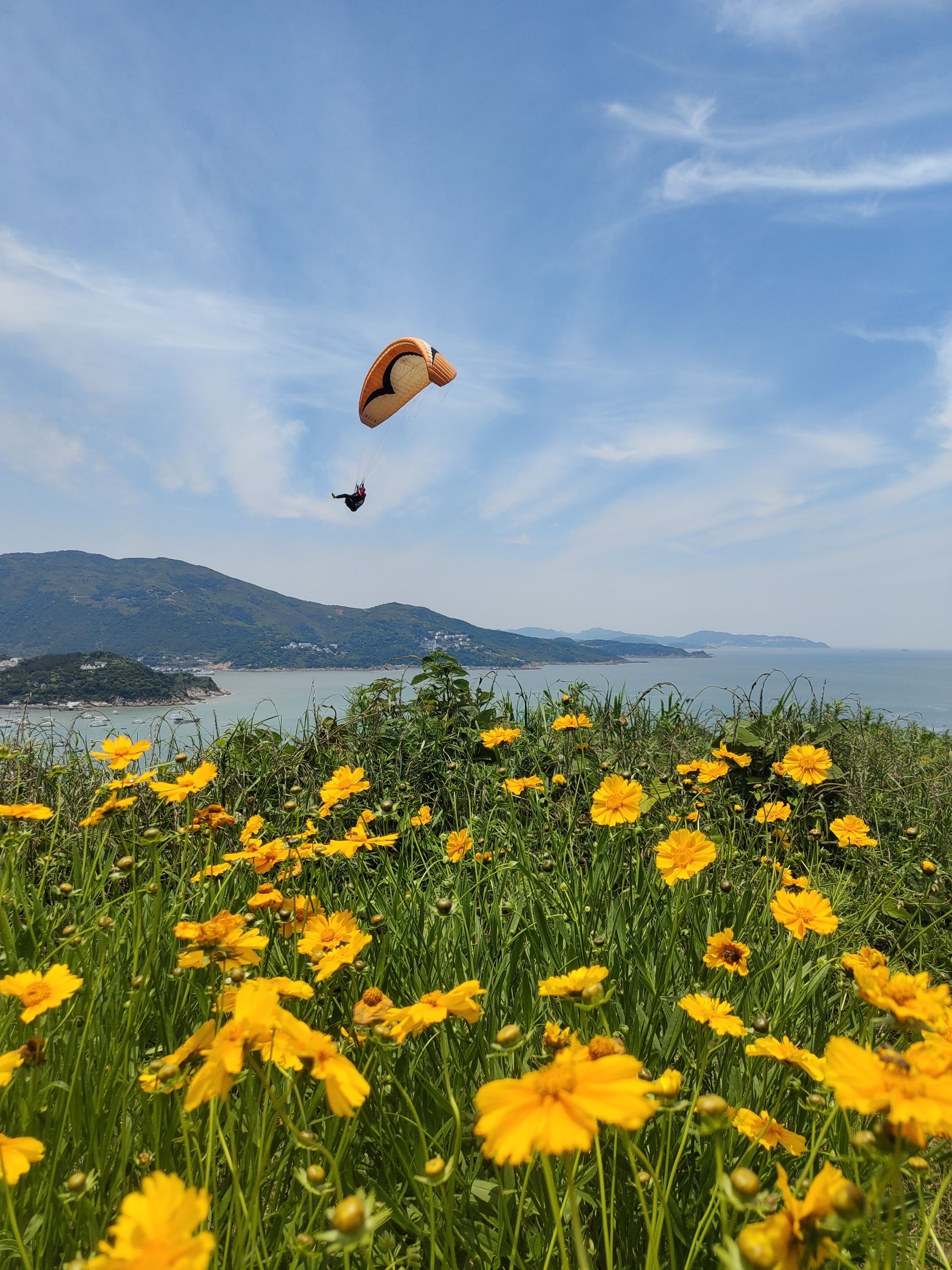 马站镇雾城村