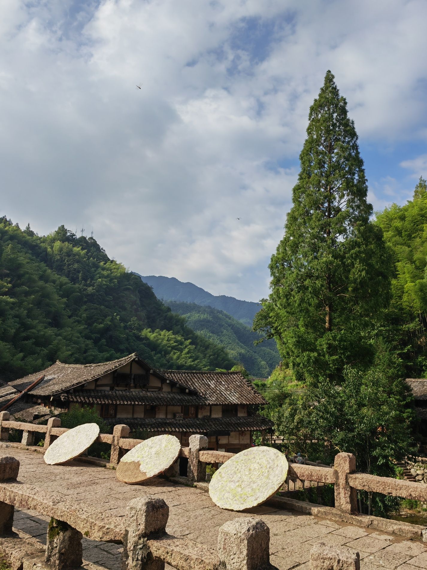 林坑-岩坦溪景区